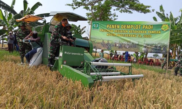 Gagah! Dandim 0602 Serang Panen Raya dengan Mesin Modern Harvester Combain