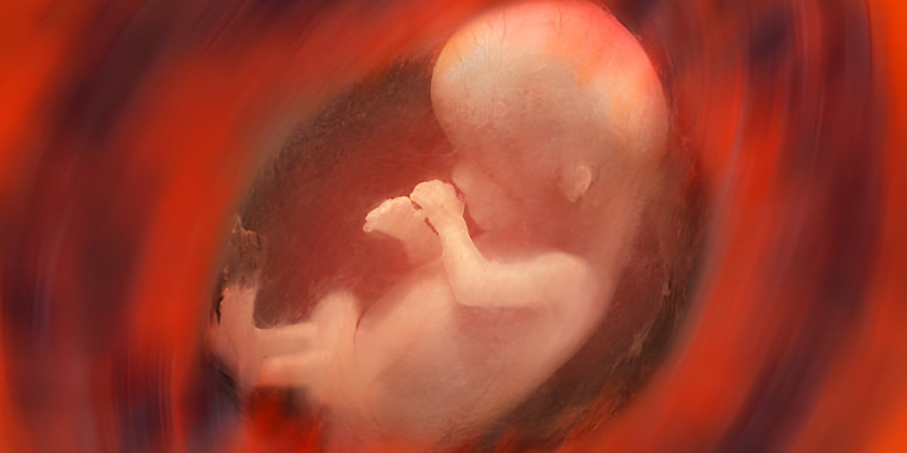 Bayi Ular – Cerpen Erna Surya