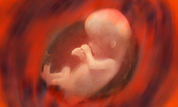 Bayi Ular – Cerpen Erna Surya
