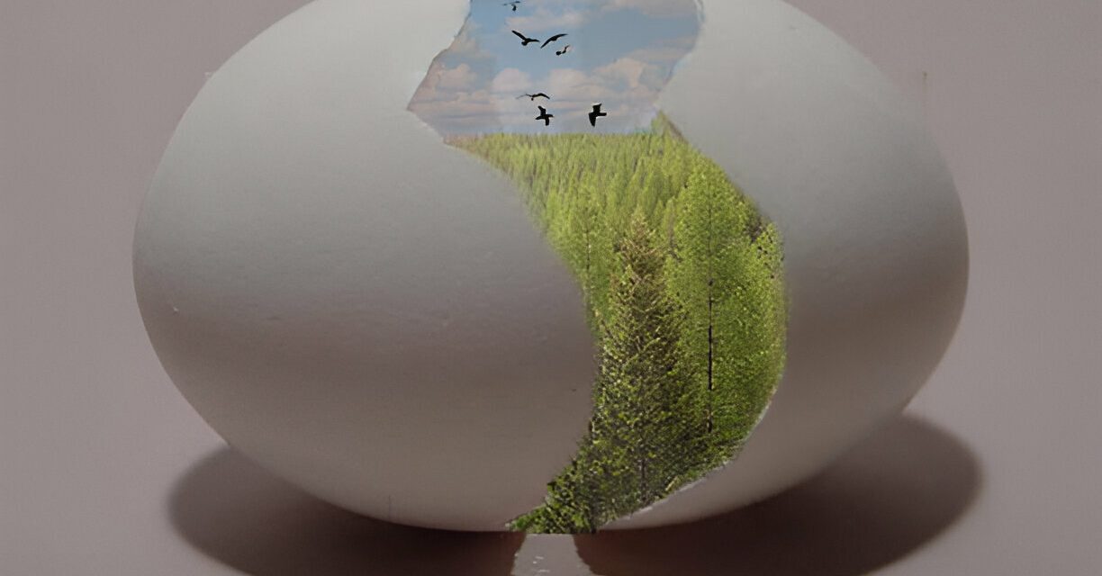 Puisi-Puisi Mars: Telur Dadar