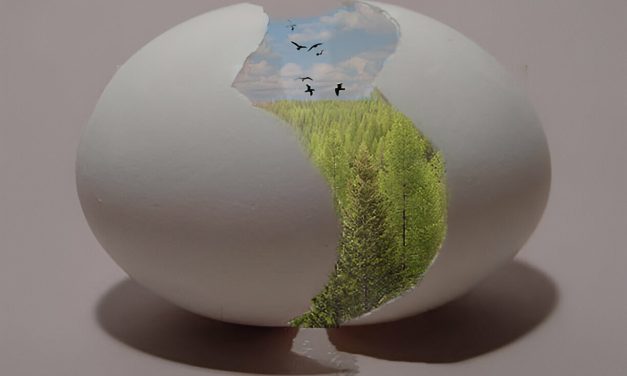 Puisi-Puisi Mars: Telur Dadar