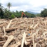 Omon-Omon Bahasa: Deforestasi dan Manipulasi Bahasa