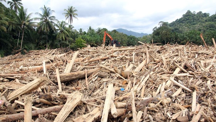 Omon-Omon Bahasa: Deforestasi dan Manipulasi Bahasa