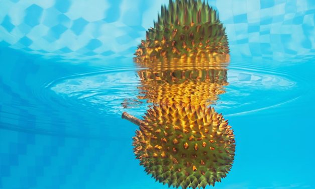 Kebun Durian Pak Muis – Cerpen Denni Meilizon