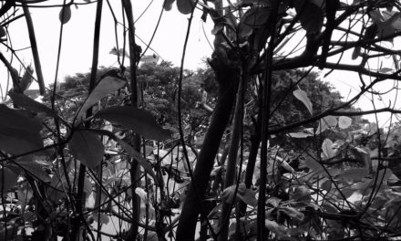 Kombur: Mengapa Mereka Tak Membaca?