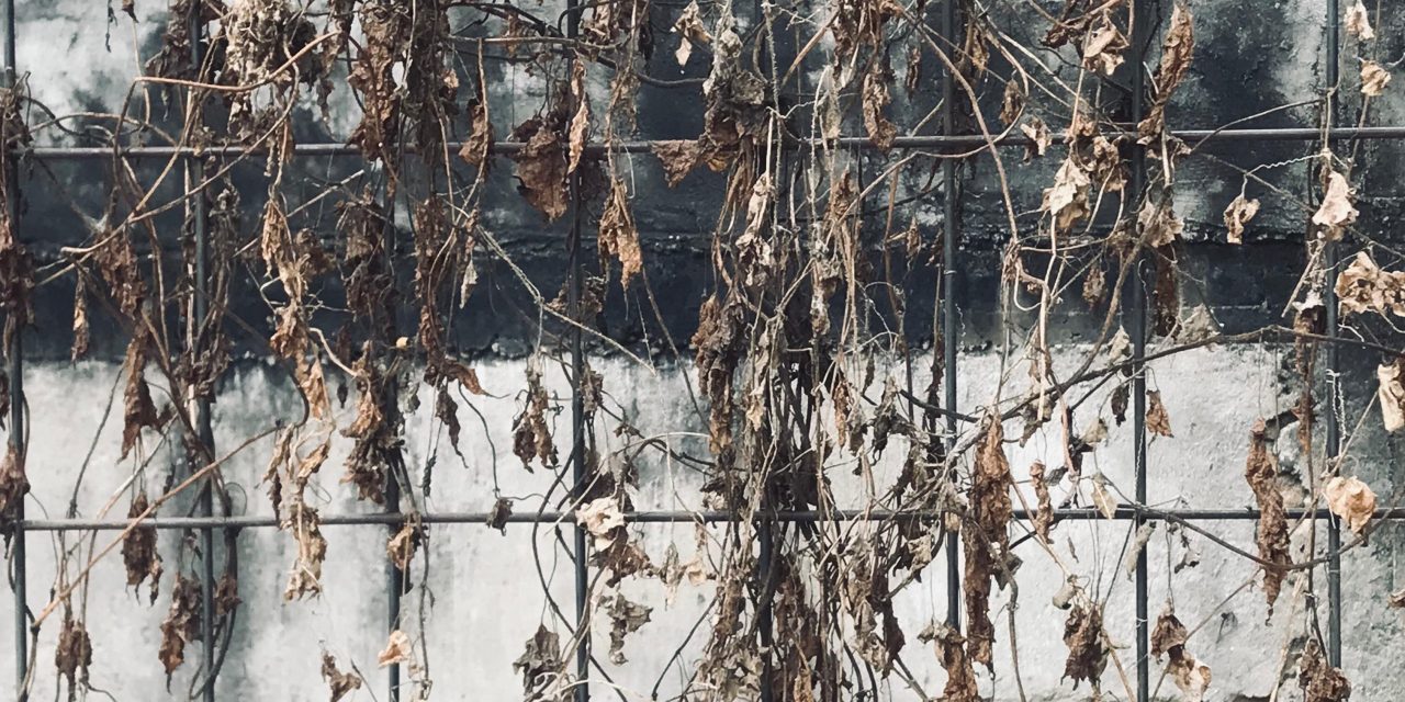 Kombur: Dari Film, Saya Belajar