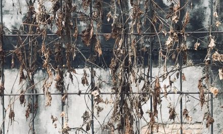 Kombur: Dari Film, Saya Belajar