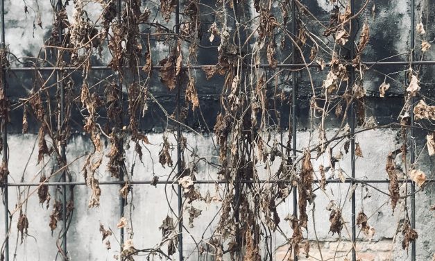 Kombur: Dari Film, Saya Belajar