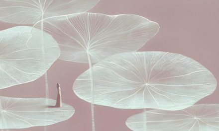 Puisi-Puisi Ilham Nuryadi Akbar: Tanah Lampus