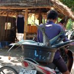 Krisis Kesadaran dalam Tubuh Bangsa yang Terbiasa Bertahan – Esai Adipatra Kenaro Wicaksana