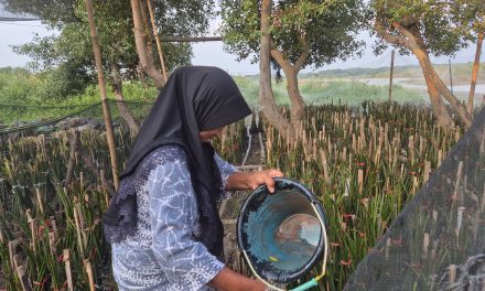 Perempuan Nelayan yang Tak Terlihat – Esai Siti Erwina Youwikijaya